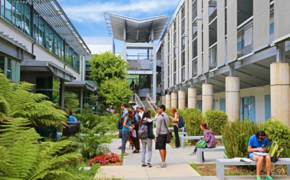 beautiful green conservatory