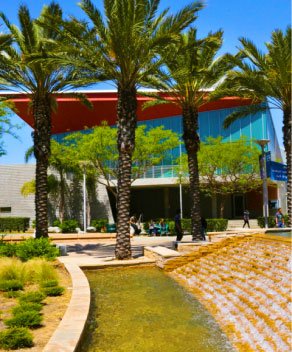 palm trees and fountains on campus